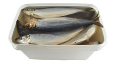 Sleď ve slaném nálevu kbelík (čistá hmotnost 7,5kg) Mooijer