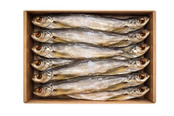 Čehon s hlavou nevykuchaný sušený