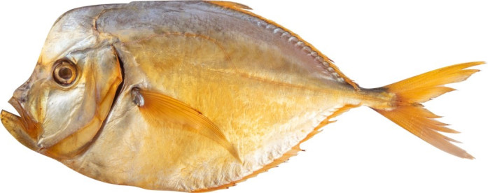 detail Vomer uzeny cca 500g