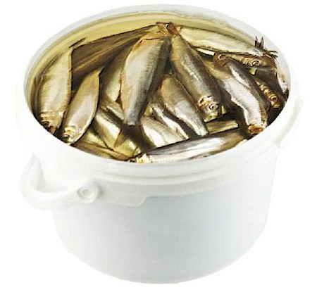 detail ŠPROTY v marinade cca 200g