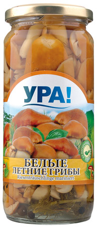 detail Bílé letní houby Ura 270g