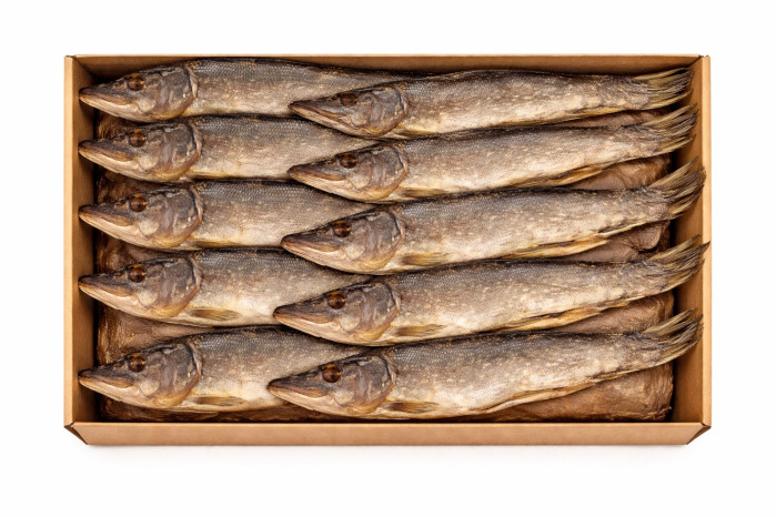 detail ŠTIKA sušená ryba 30cm