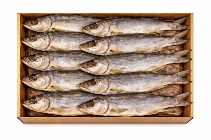 detail Žeroch  sušená ryba cca 350g