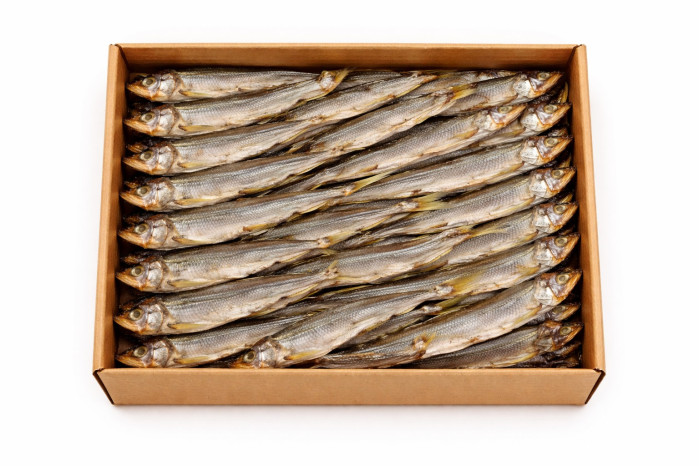 detail Korjuška sušená