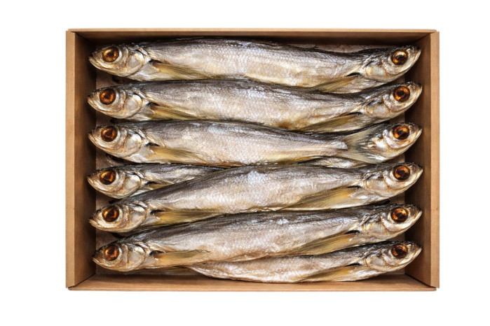 detail Čehon s hlavou nevykuchaný sušený