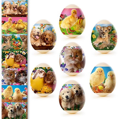 detail Nálepky na vajcia 7ks Rôzne druhy