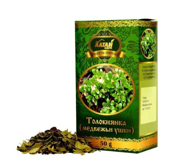 detail Toloknjanka (medvedie uši) 50g AltayPharm