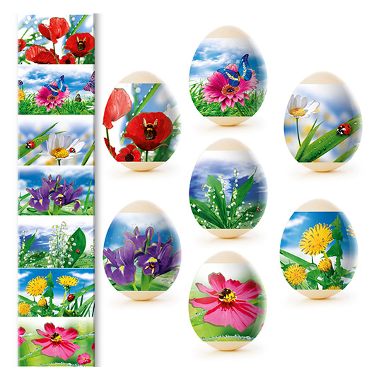 detail Nálepky na vajcia 7ks Rôzne druhy
